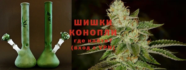 спайс Бородино