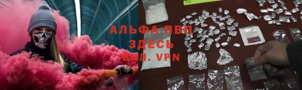 спайс Бородино