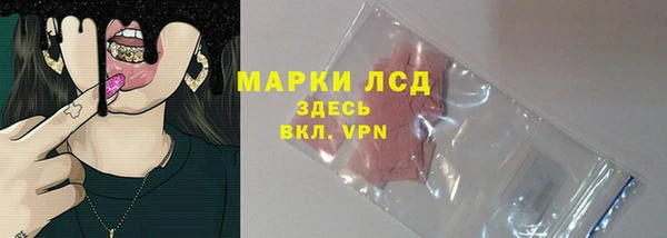 спайс Бородино