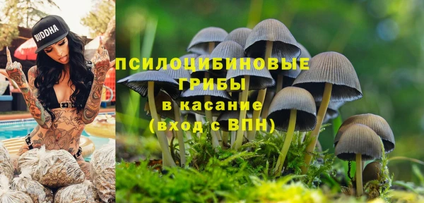спайс Бородино