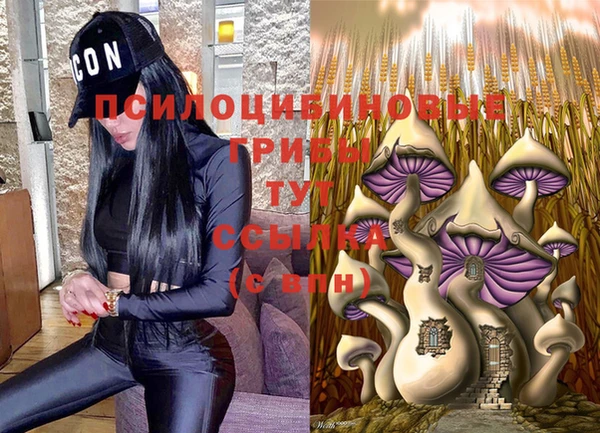 jwh Бугульма
